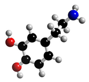 dopamine